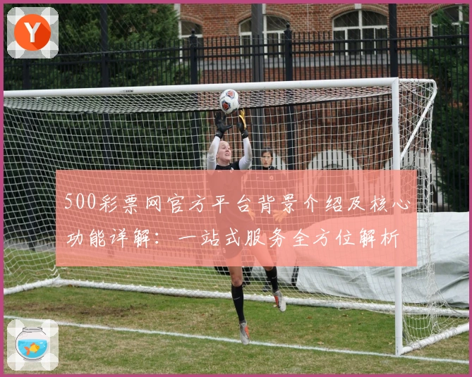 500彩票网官方平台背景介绍及核心功能详解：一站式服务全方位解析